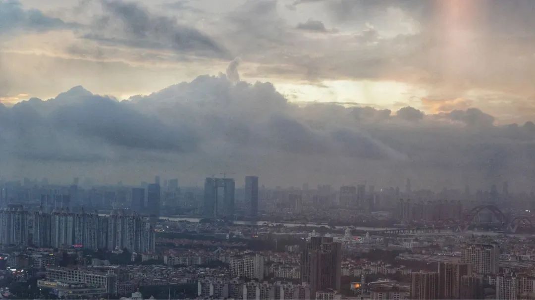 最疯狂的事是买了一堆爱马仕,10年前买一只爱马仕