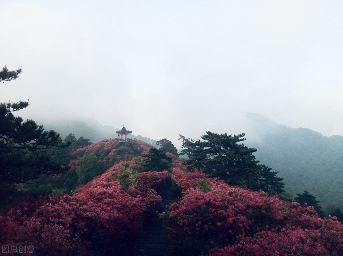 足球赛，同学情（江城子专栏）