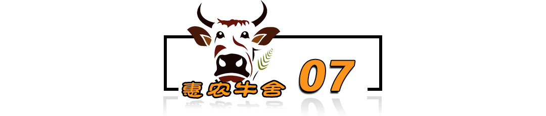 泥鳅养殖病害防治方案,养殖泥鳅易出现的病害