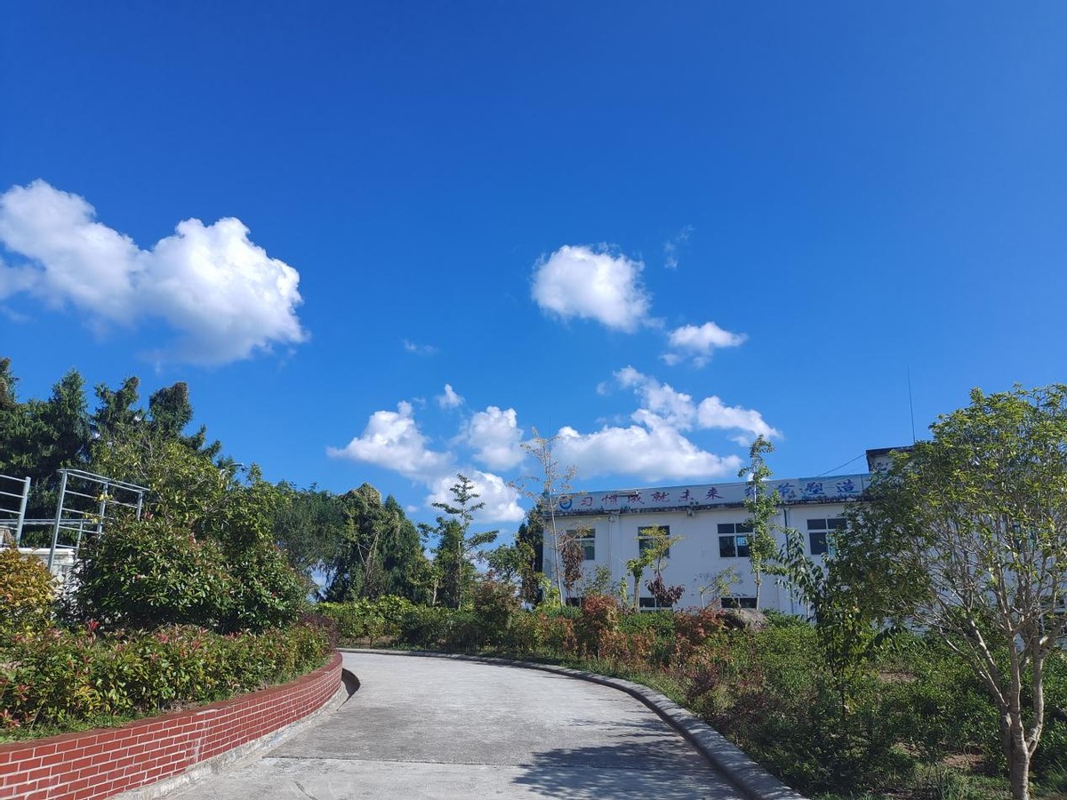 外媒述评全球电商泡沫即将破灭,天猫回应京东唯品会