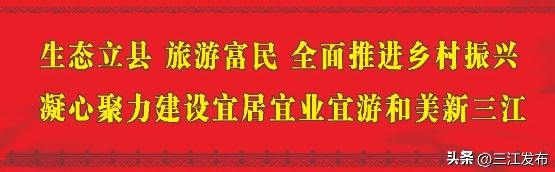 潮市集招募,市集招募凤岗