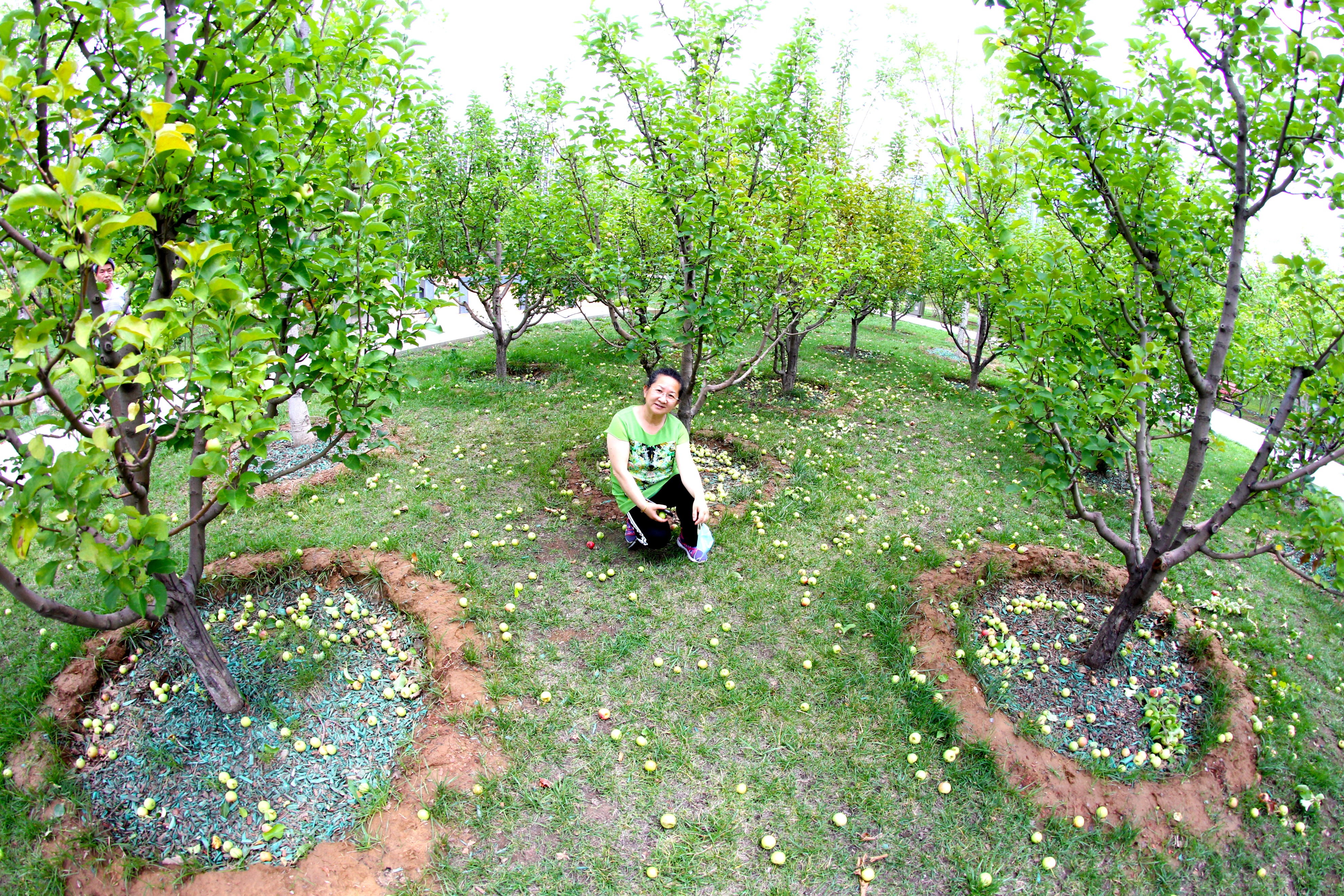 北京古香古色的公园,北京闹市藏着这样一个公园