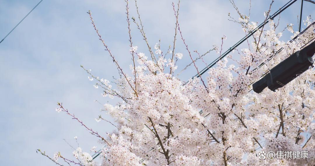晚饭应该怎么吃才是最健康的食物,晚餐怎样吃才营养健康