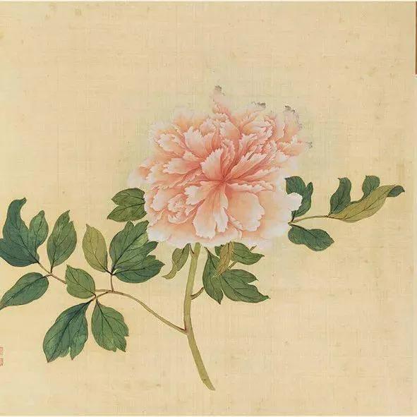 蒋廷锡牡丹画法,蒋廷锡百种牡丹画法