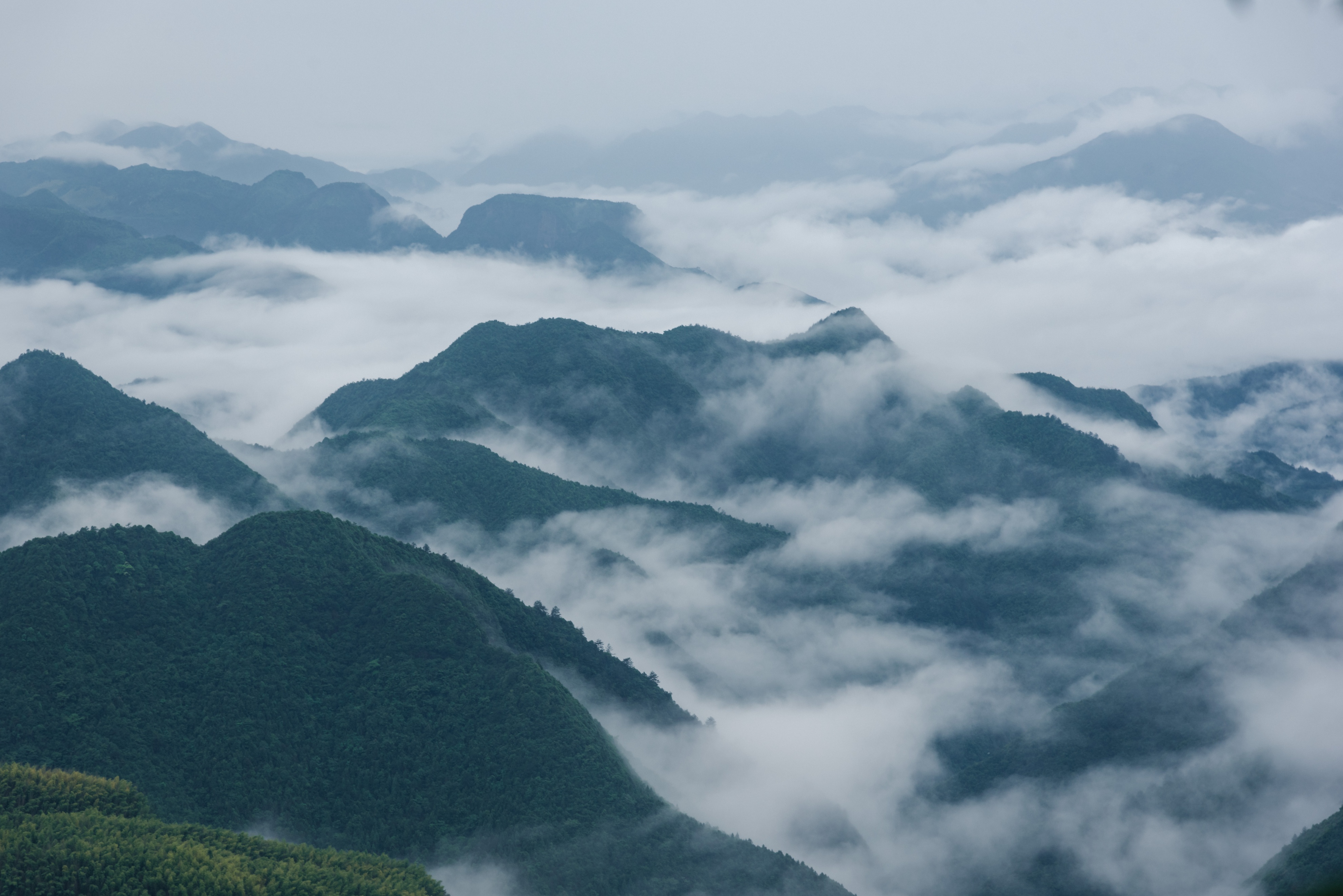 丽水遂昌旅游攻略一天游 (丽水遂昌被称旅游胜地)