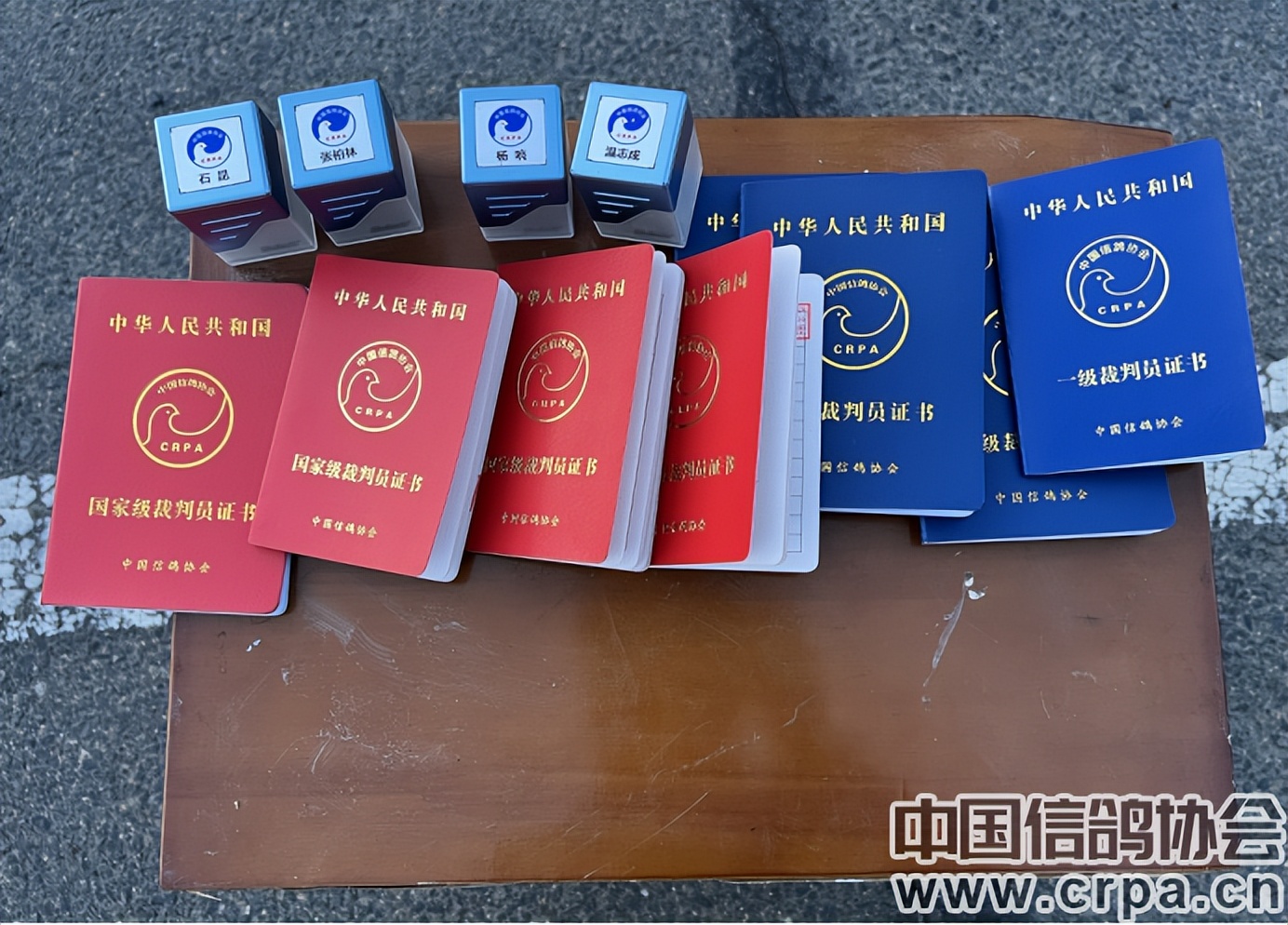 东三省迎来千公里联翔|2023年“国家赛”内蒙古商都赛区今日开战