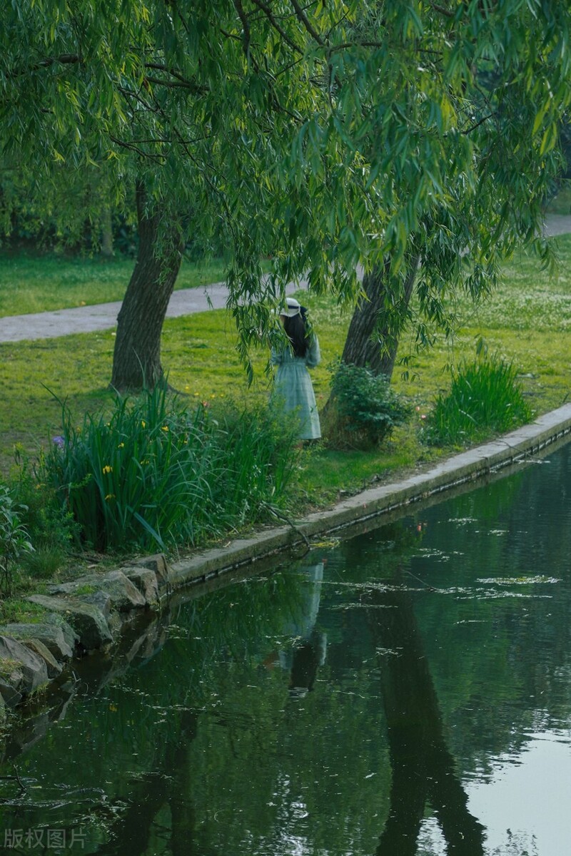 上海踏青2022,上海踏青最佳景点2021