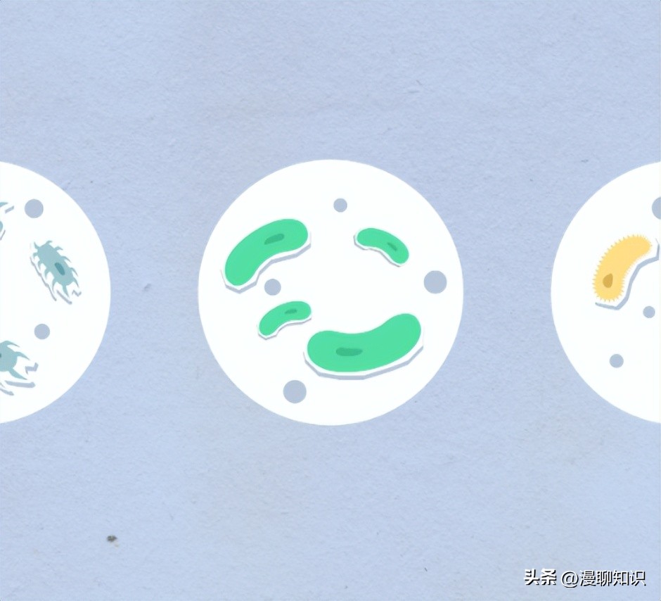 马传染病的传播,马传染性子宫炎