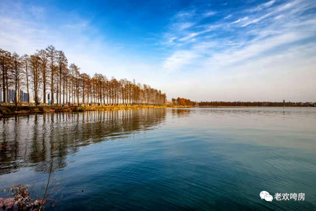 武昌二环东湖旁总价40万起的房子,武昌二环内优质楼盘首付70万