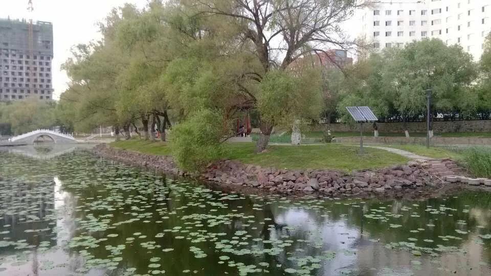 东北师范大学自考,东北师范大学地址