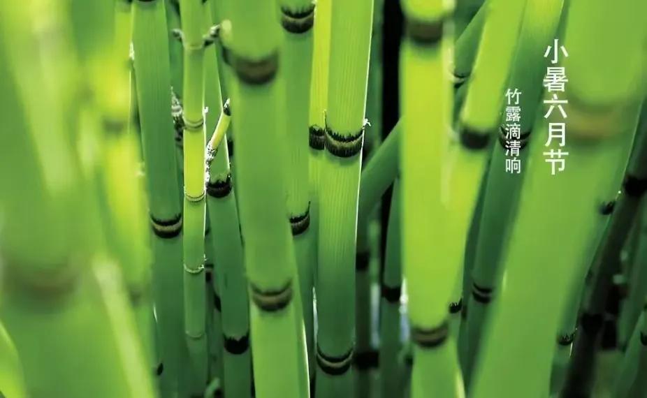 小暑节气最美问候图片,小暑节气早安问候图片