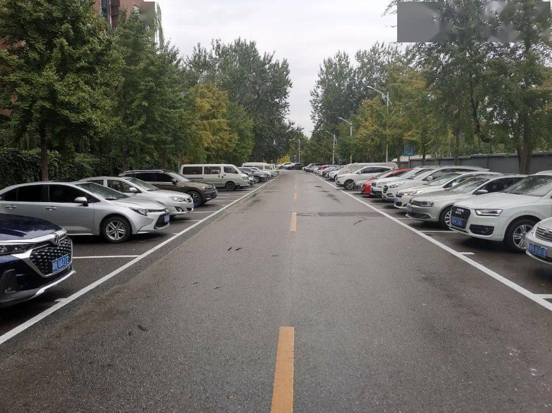 停车场到底有多赚钱,3万平的停车场一年有多少利润