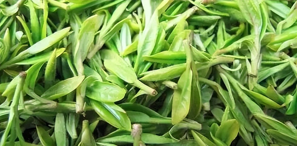 贵州都匀毛尖茶价格,贵州茗茶属于什么茶