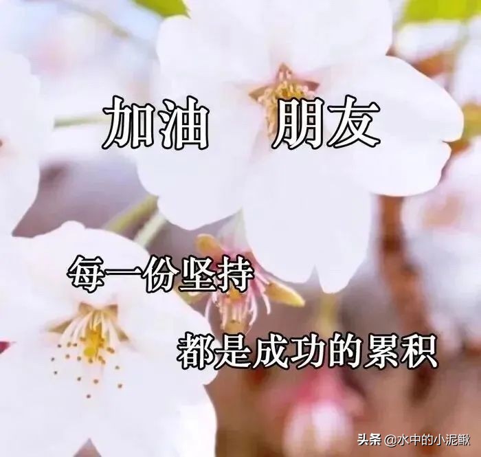 早安励志语录简短的句子有哪些,早安语录励志句子短句有哪些