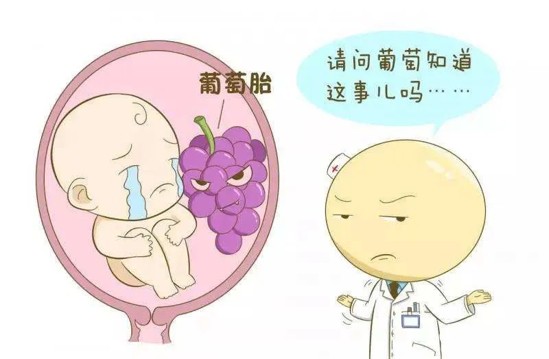 正常胎儿会变成葡萄吗,为什么我怀孩子一点感觉都没有呢