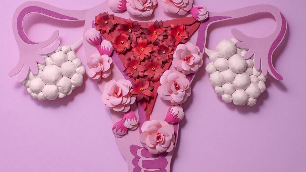 女性的三大心理需求被认可,女性的十大需求