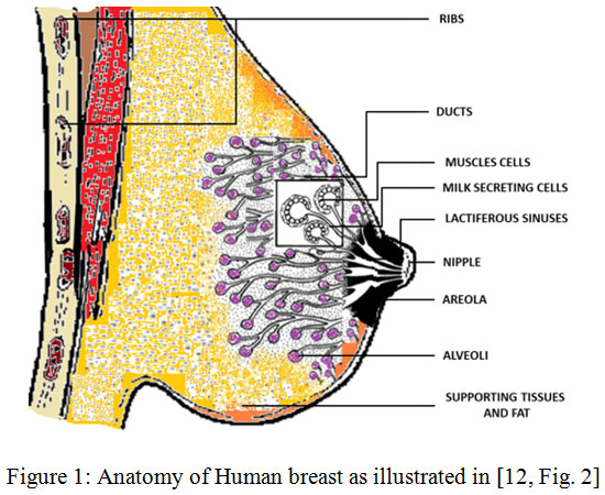 印度癌症和中国癌症谁多,近年中国和印度的癌症数据