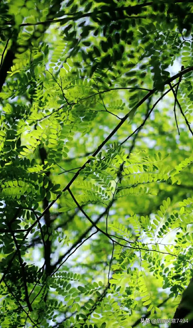 蓝色和绿色一定是上天选的治愈色,能治愈的蓝色和绿色