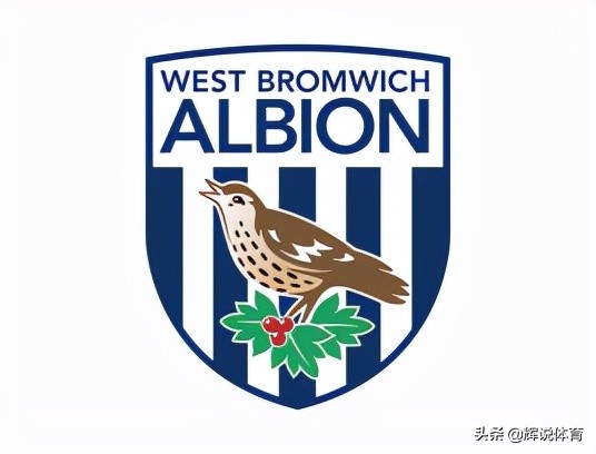 队徽是鹰的足球队,队标有个鹤的球队