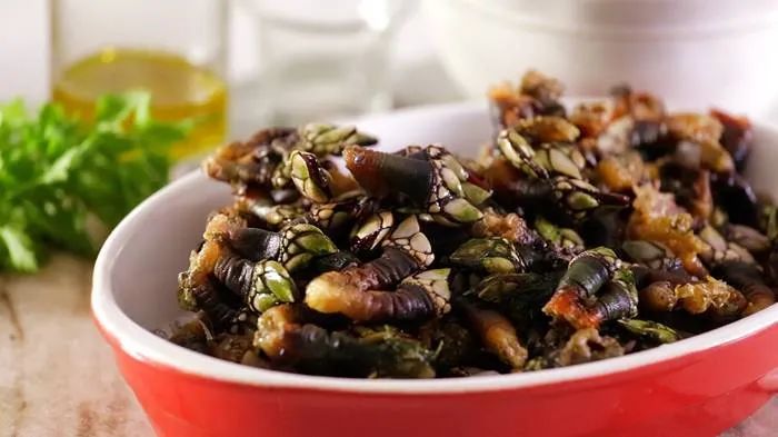 中国人吃藤壶,哪个地方的人吃藤壶