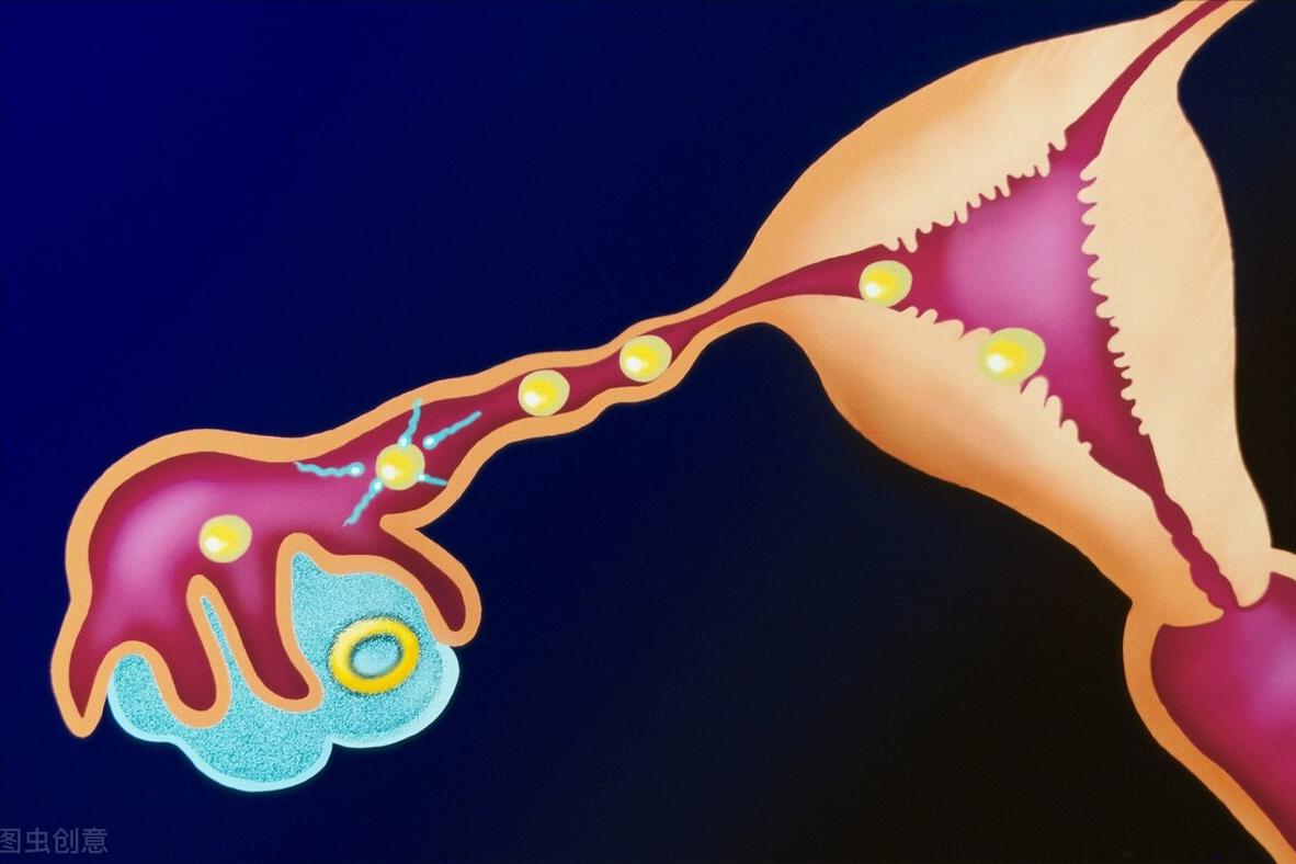卵巢为啥会出现肿瘤,卵巢为什么会长囊肿