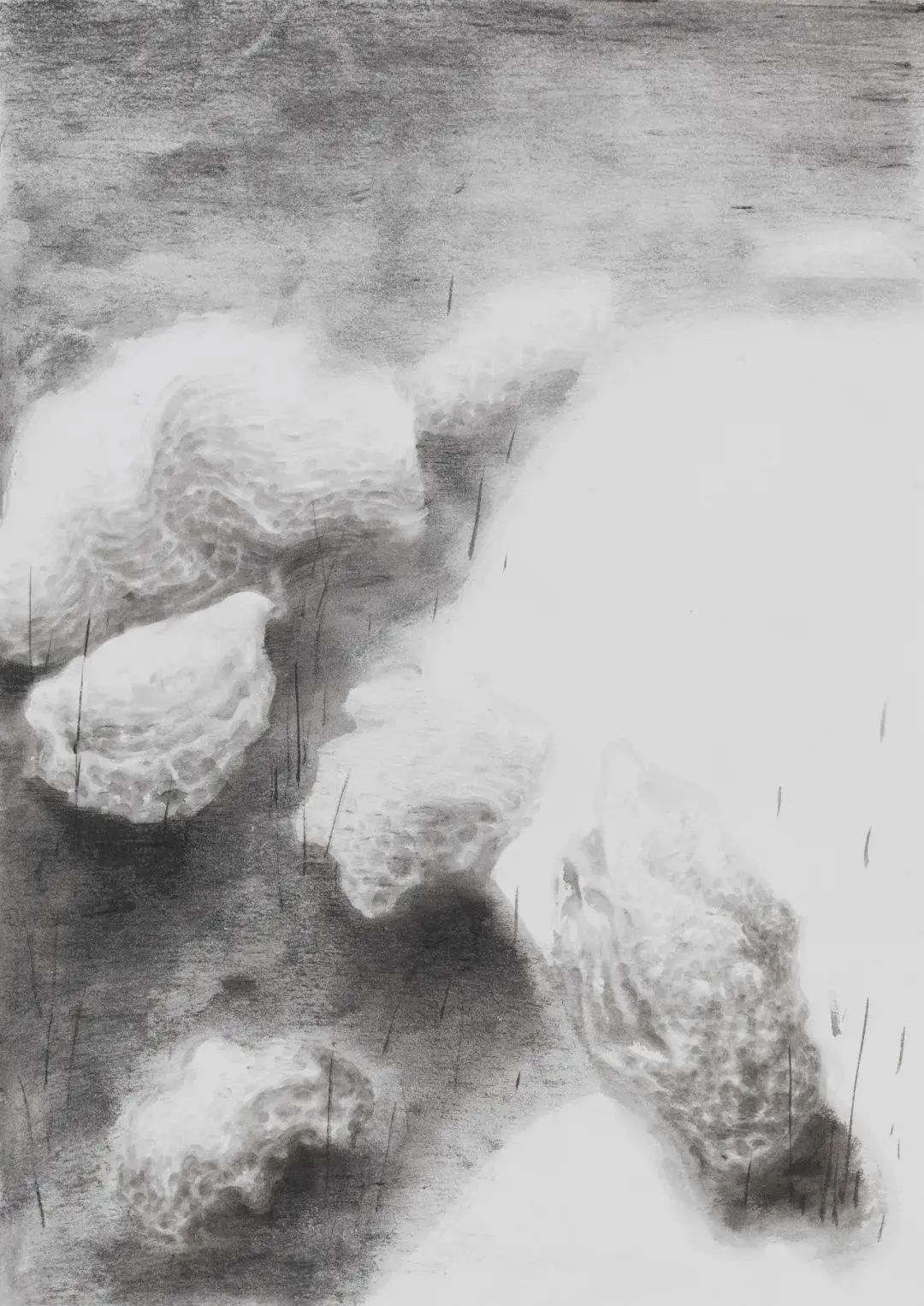 严谨细致的书法,水墨气韵生动的线描