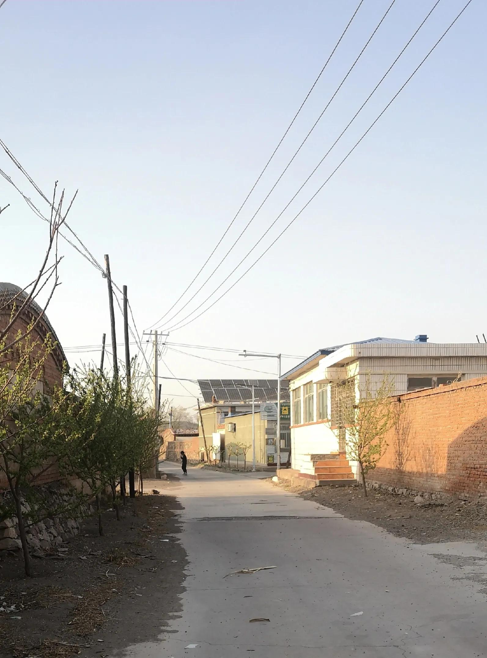 舍命产子,舍命产子靠谱吗