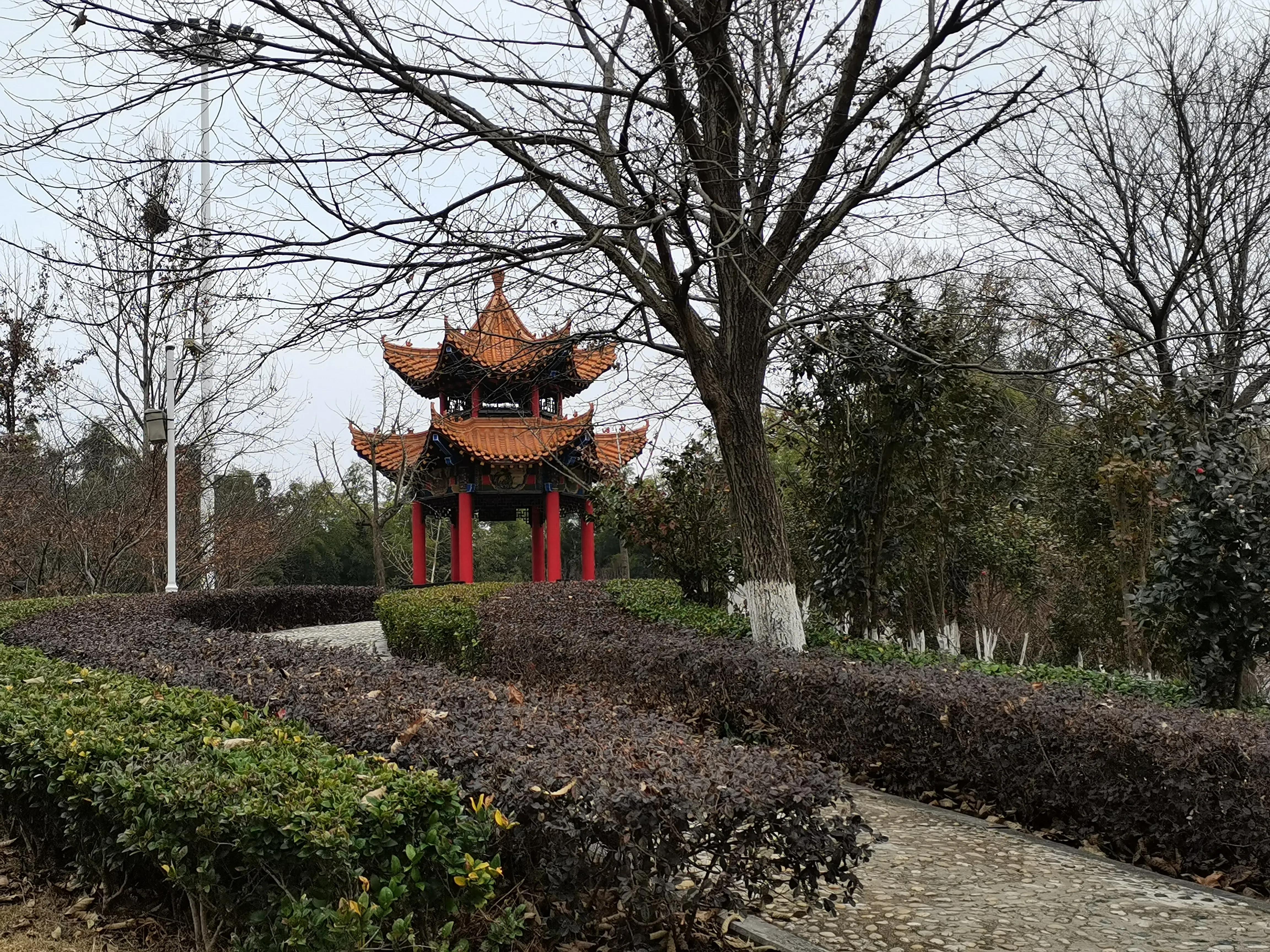 毛坦厂中学好不好,毛坦厂生源情况