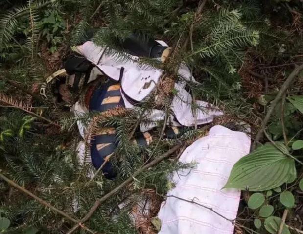 翼装飞行女孩刘安遗体捐献,天津24岁女孩刘安挑战翼装飞行