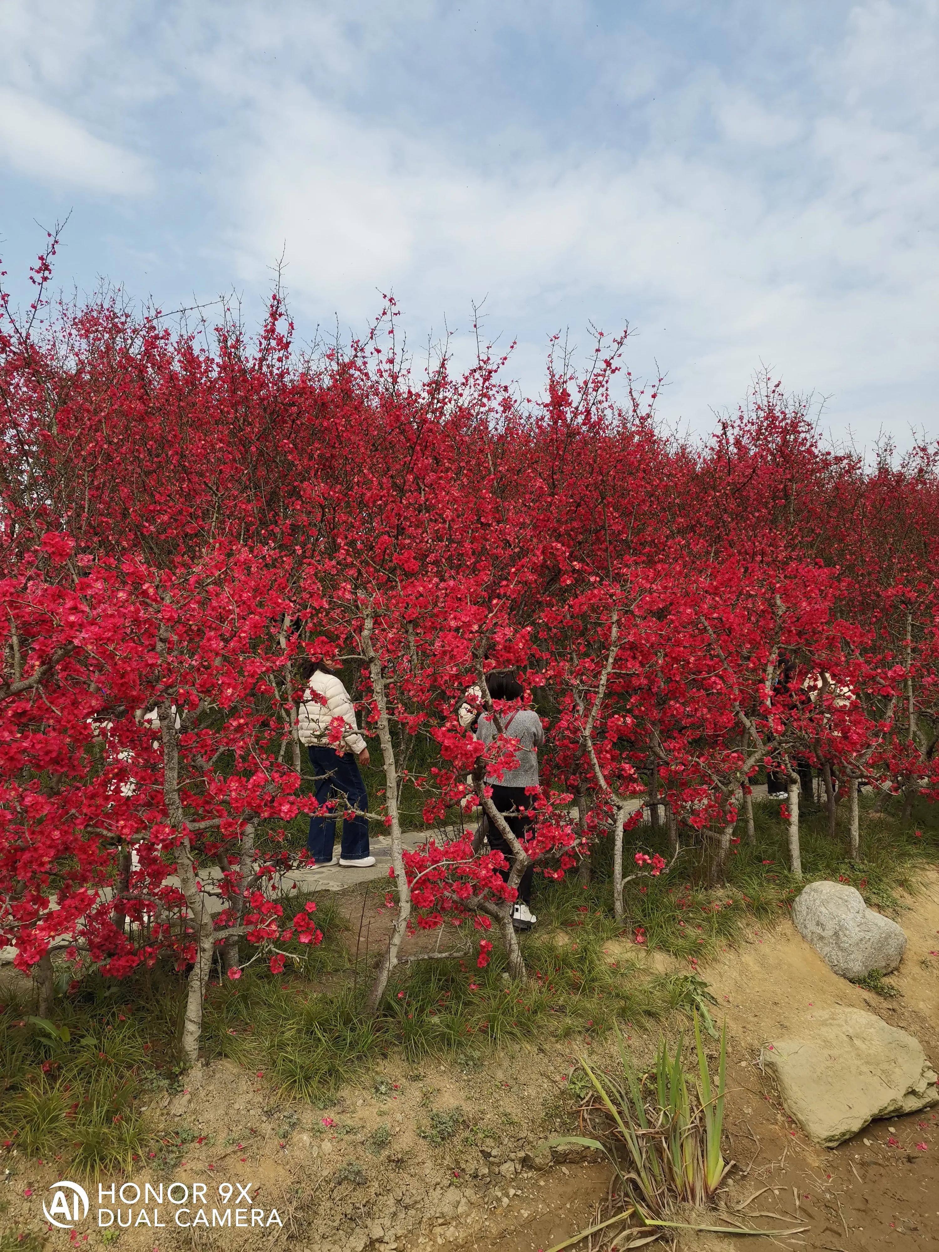 国债逆回购讲清楚,请问国债逆回购是什么意思
