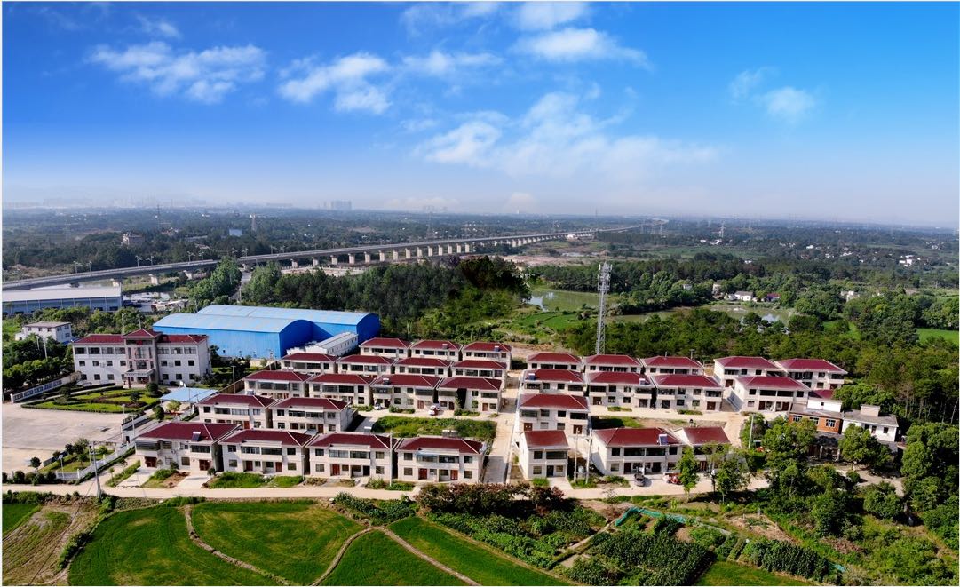 安徽桐城金神村建设,桐城金神镇怎么样