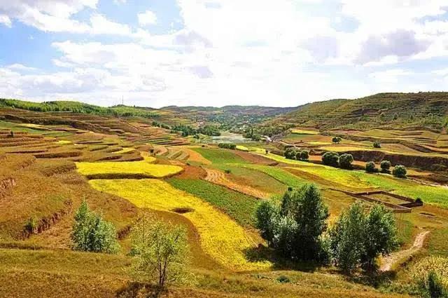 时光涟漪:天选之人，身患银屑病的美貌堂姐现实版活着