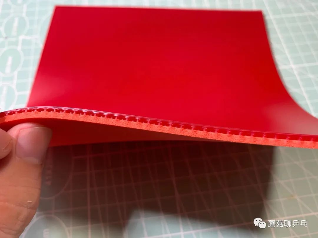 蘑菇乒乓球底板,蘑菇乒乓