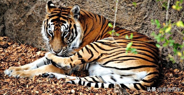 终于明白了《易经》六十四卦各爻的深刻含义，原来这么简单