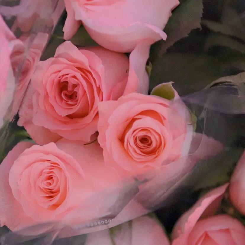 母亲节做活动文案,35句母亲节文案