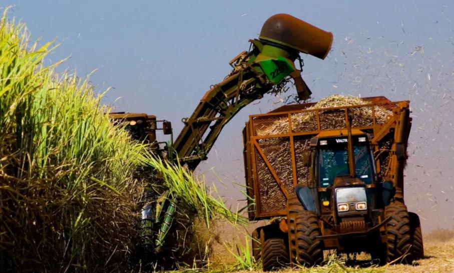 巴西大力发展乙醇汽油,巴西汽油乙醇