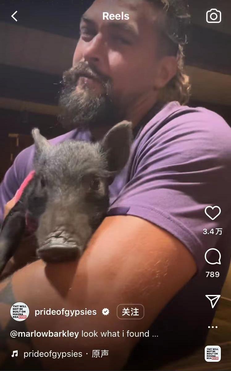 海王杰森莫玛出席活动,海王杰森莫玛来北京