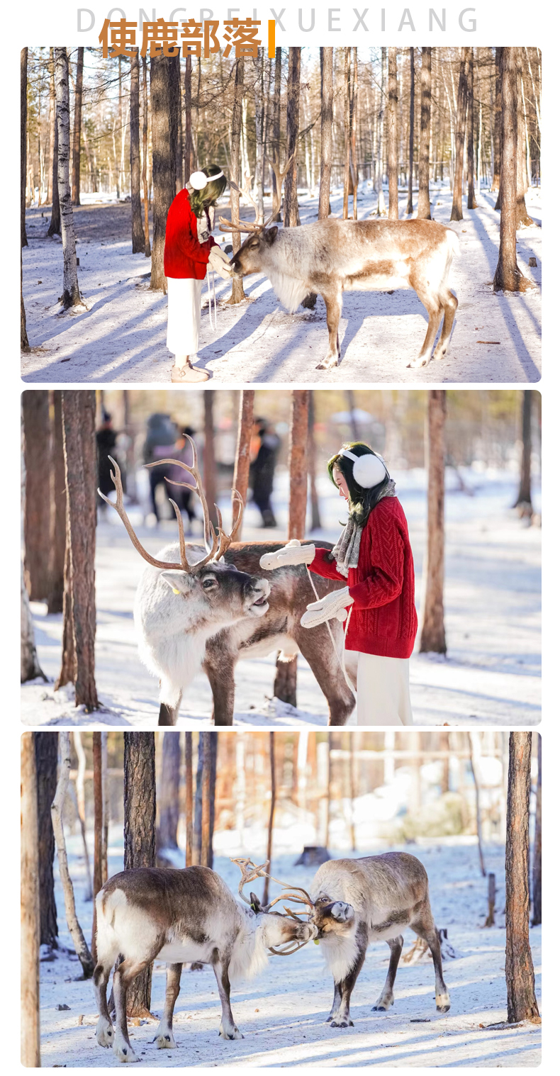 北极漠河冬日游,去漠河看北极光攻略