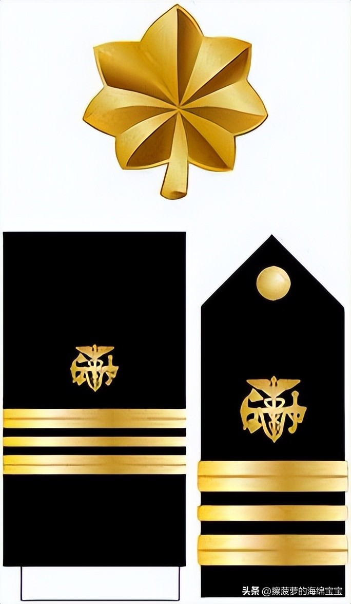 美国公共卫生服务军官团有多少人,美国医务兵地位