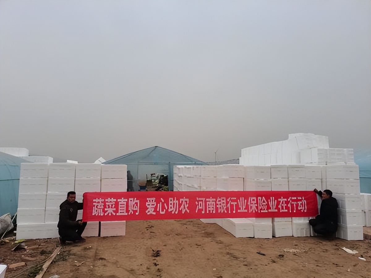 已购蔬菜近40万斤！河南银保监局号召金融机构“以购代扶”助菜农
