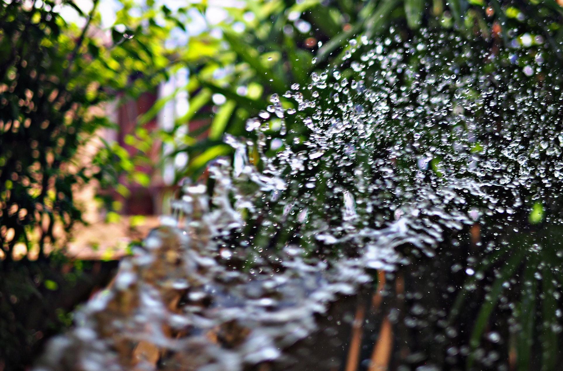 今年的黄梅雨季是哪几天,今年黄梅雨天什么时候结束