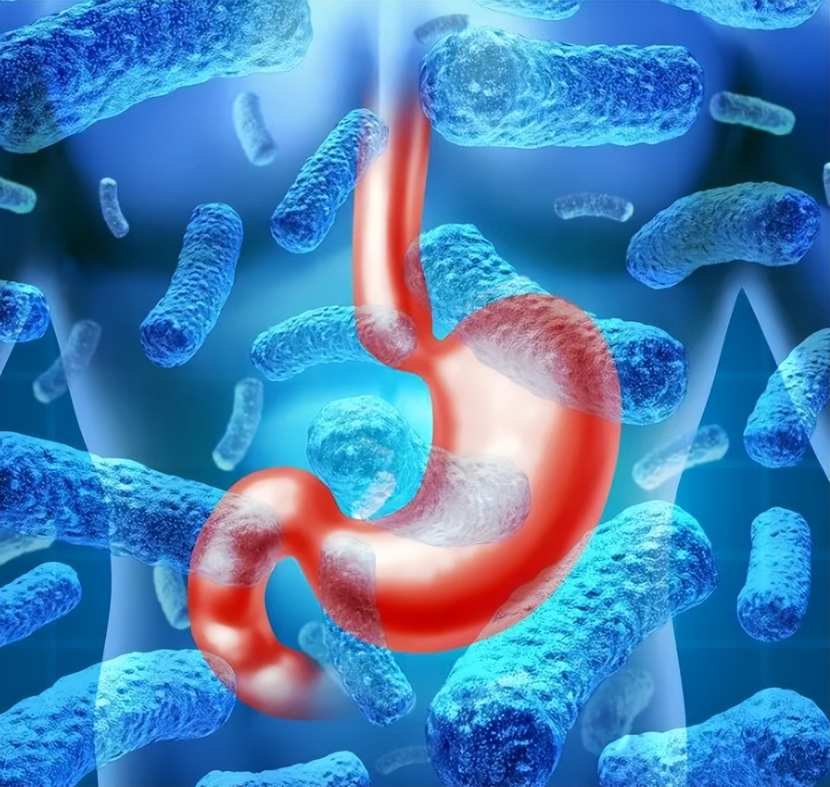 千万要注意六种寄生虫多的食物,提醒6种食物是寄生虫的重灾区