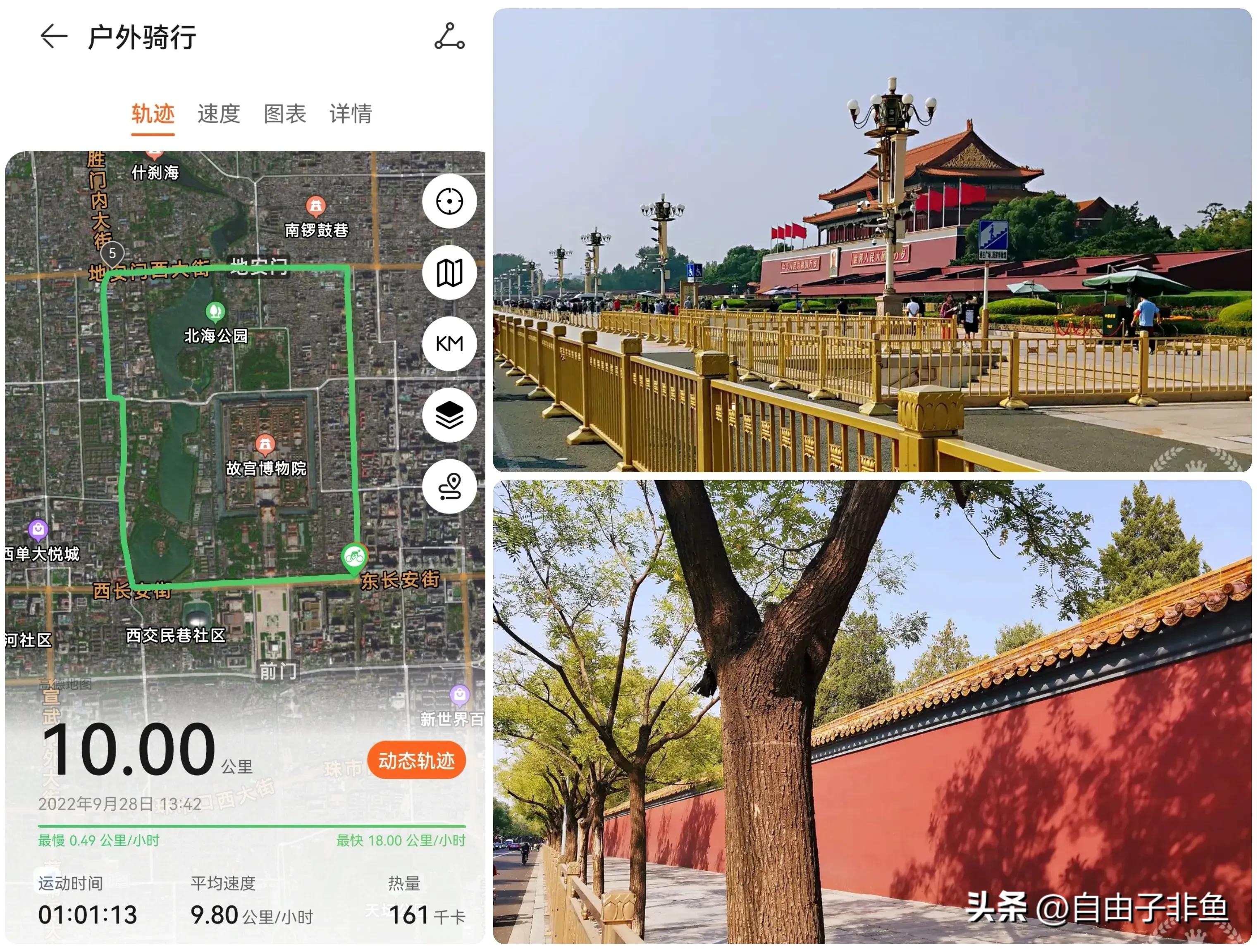 北京植物园跑步路线,北京适合跑步的地方