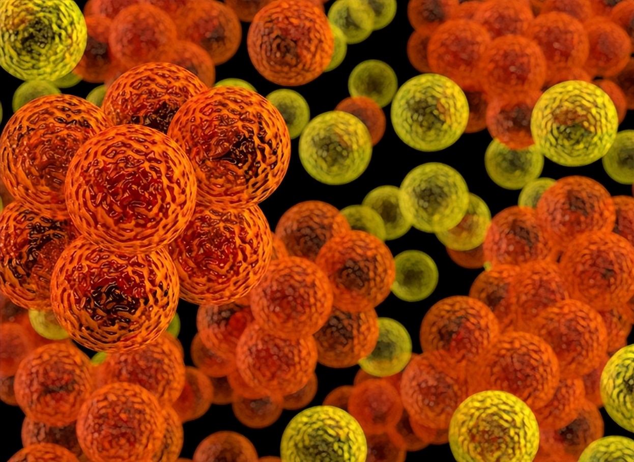 人体抵御细菌感染的第一道防线,人体卫士大战细菌