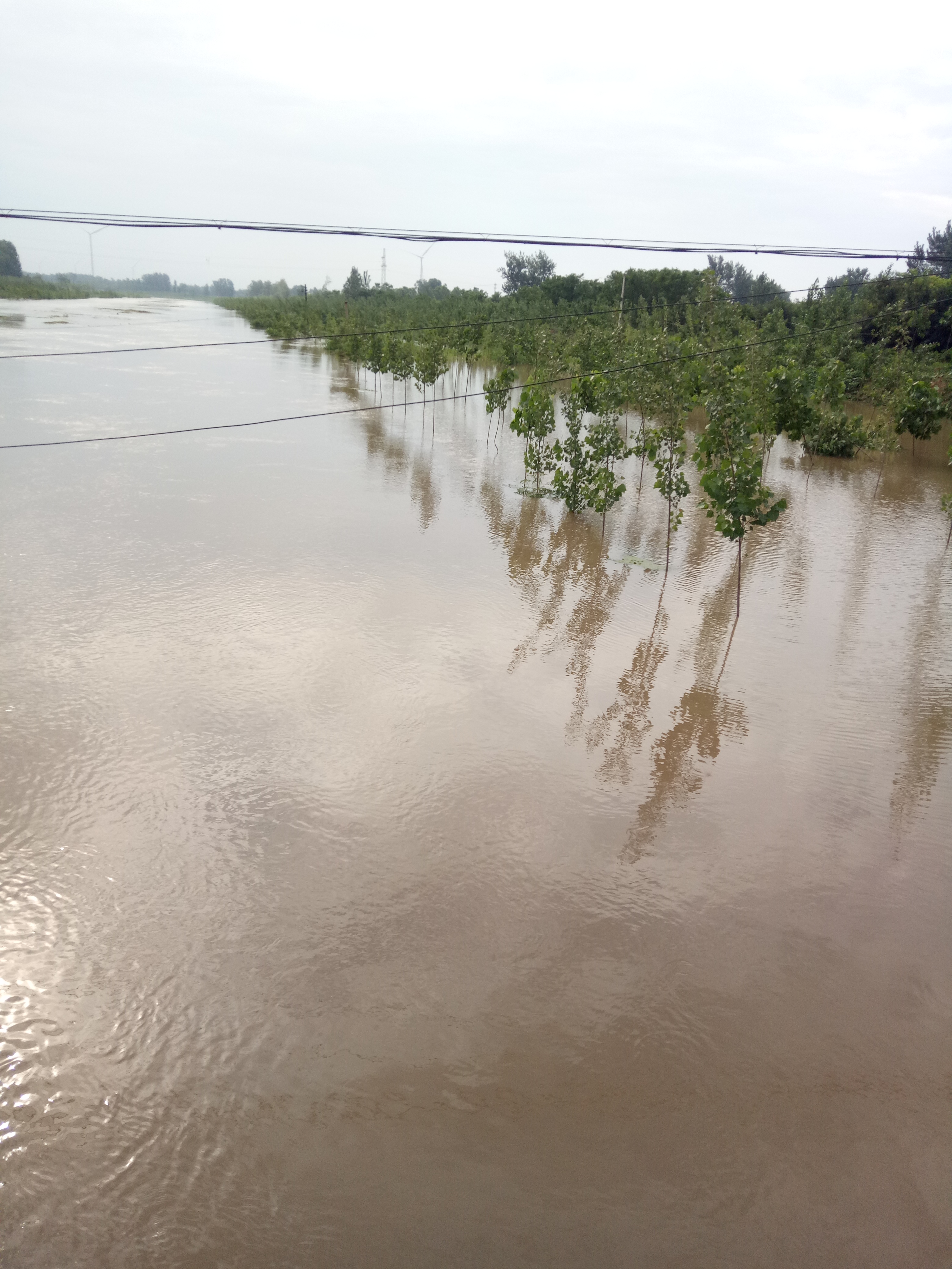 学习练撒网,学撒网第六天