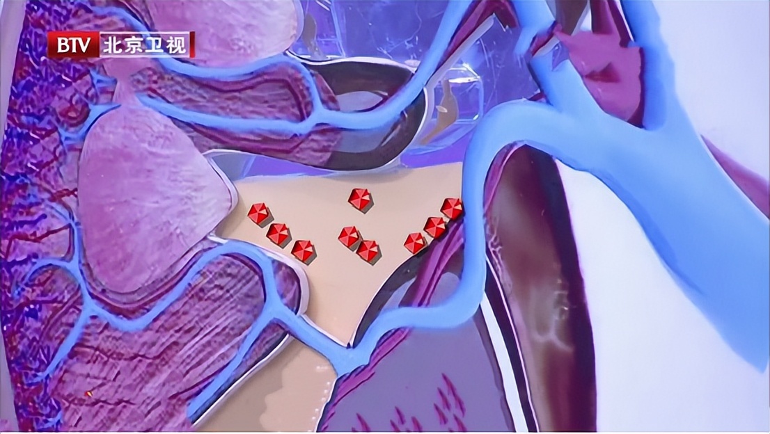 白开水放置时间长了能喝吗,白开水最多能放几天还能喝