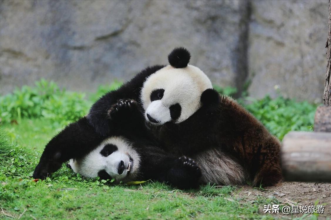 上海5a级景点排名榜名单公布,上海周边有山的5a景区