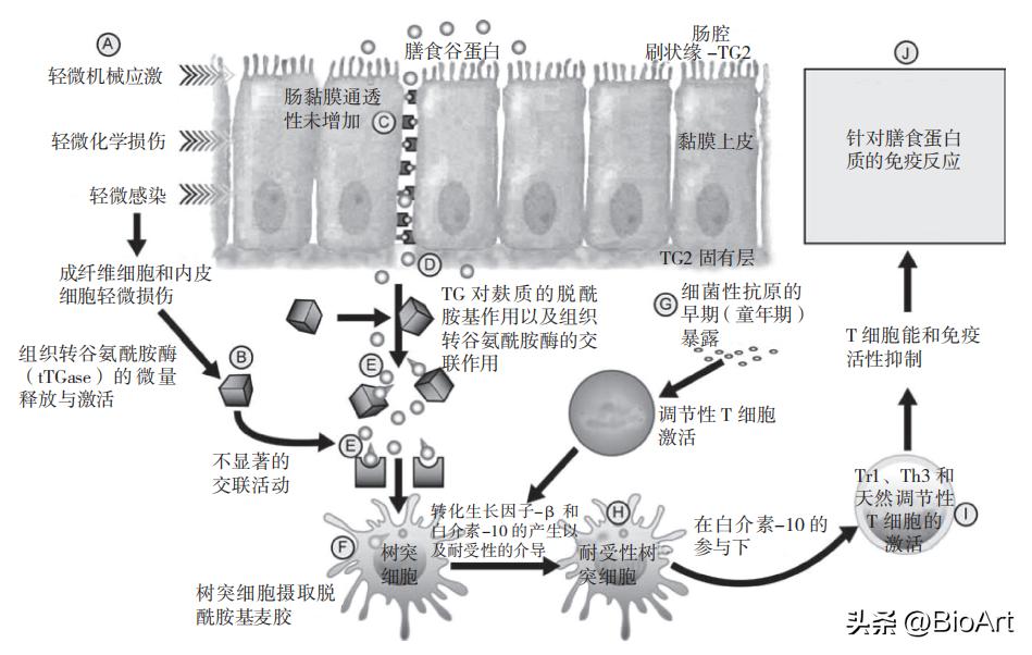 脑漏的真正原因,肠漏到外面怎么解决