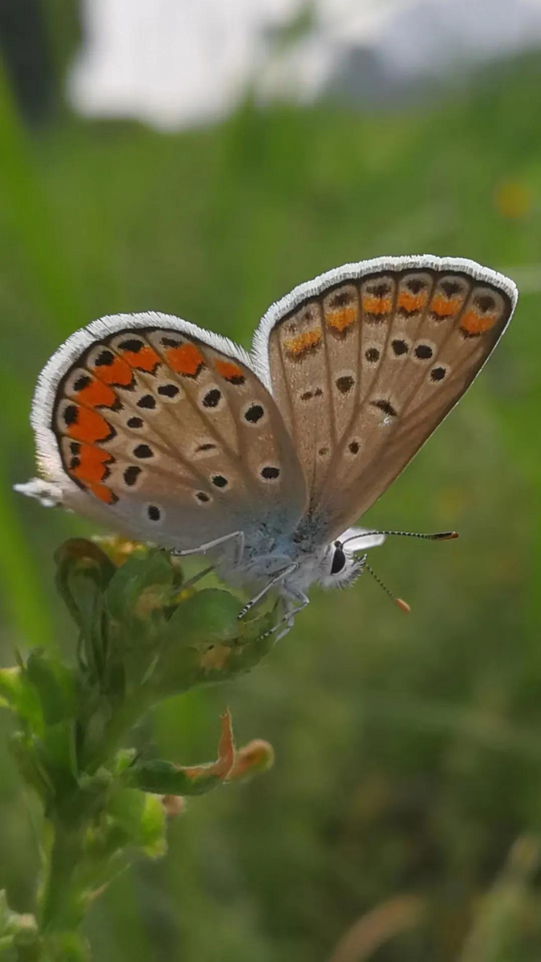 生活的颜色完整版,生活的颜色诗歌