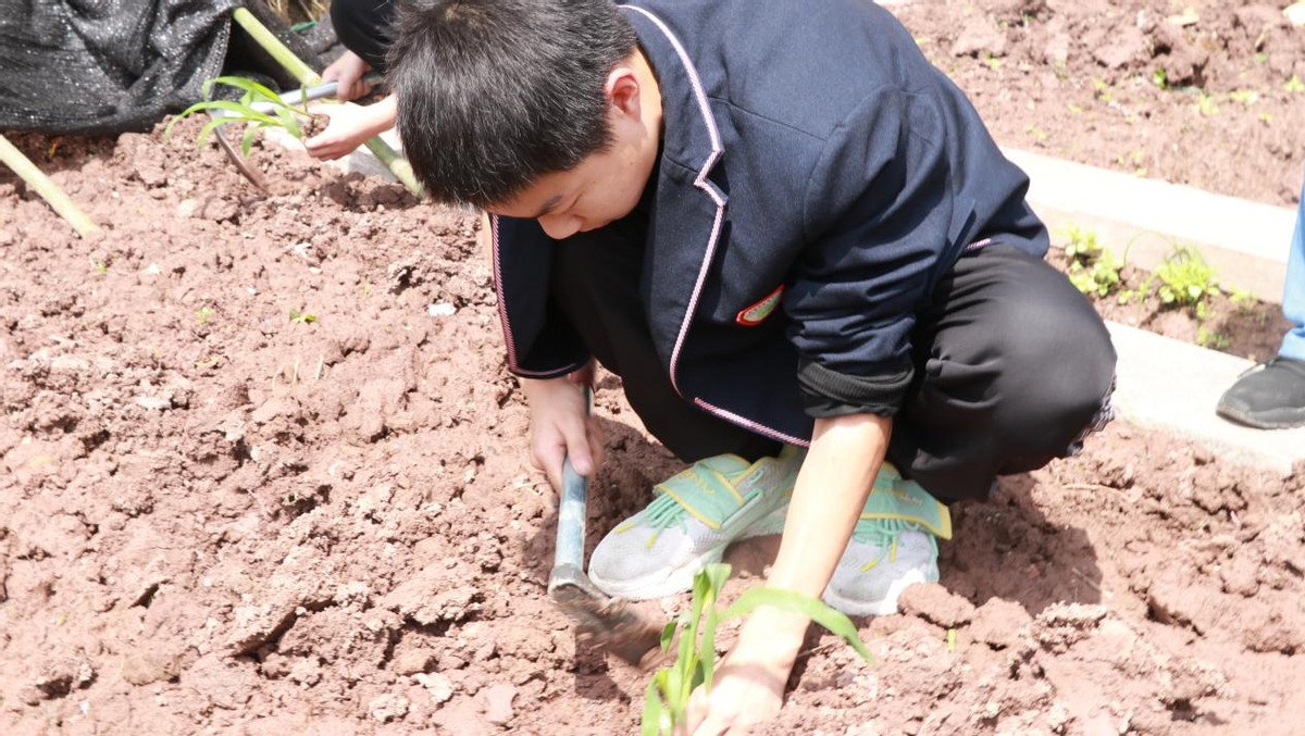 课后服务小学生特色课程,中小学课后服务工作